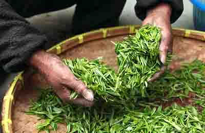 中小型茶叶企业管理创新探讨