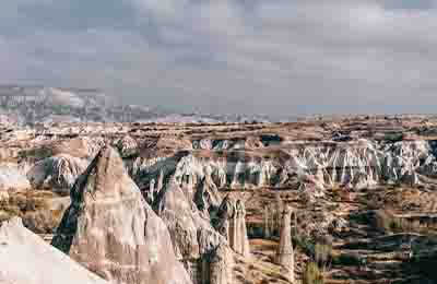 区域教研活动总结