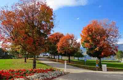 西安汉城湖公园