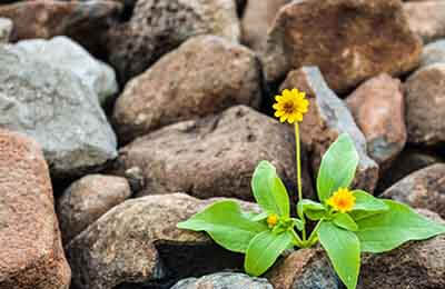 人生就像一场戏