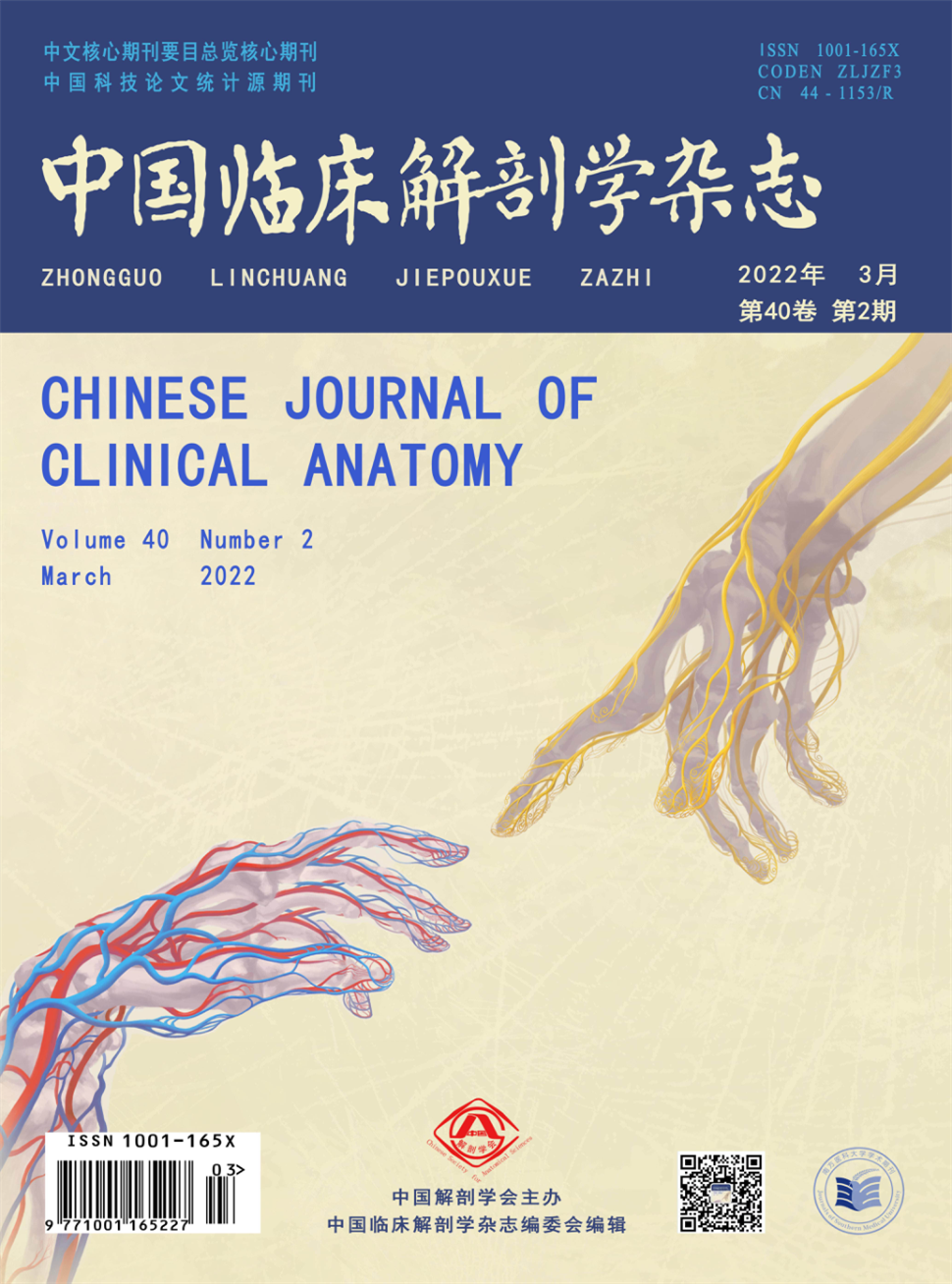 中国临床解剖学