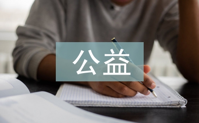 公益项目评估报告