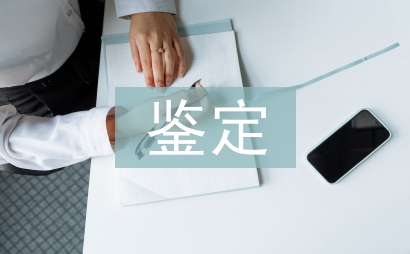 伤残等级鉴定申请书