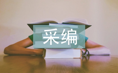 图书馆采编工作计划