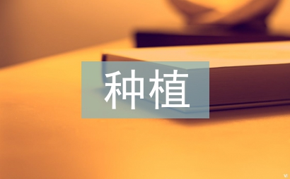 百香果的种植方法与管理