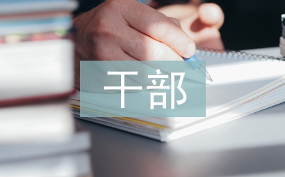 干部提拔考察报告