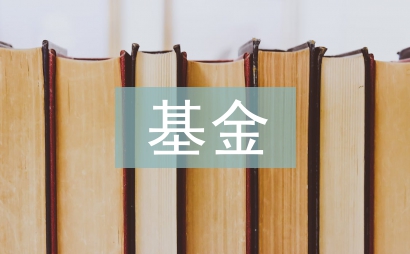 基金公司工作总结