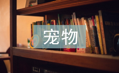 超级宠物制造池