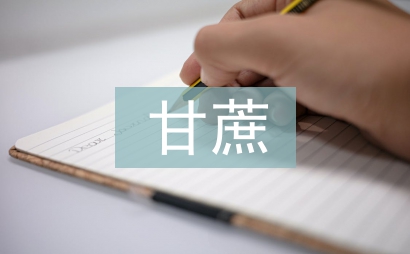 甘蔗种植技术与田间管理探讨