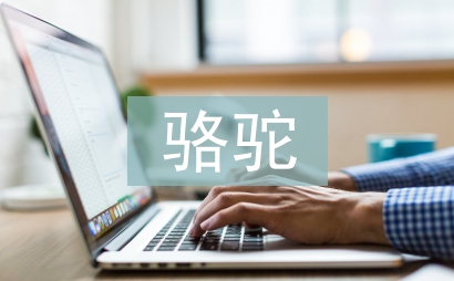 骆驼祥子在烈日与暴雨下