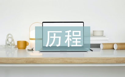 企业信息化建设历程