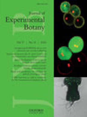 Journal Of Experimental Botany杂志