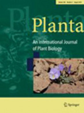Planta杂志