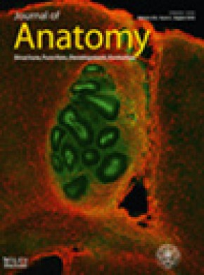 Journal Of Anatomy杂志