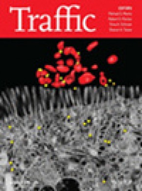 Traffic杂志