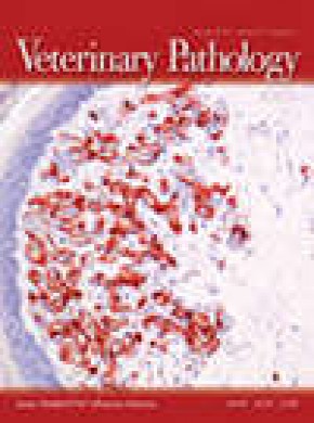Veterinary Pathology杂志