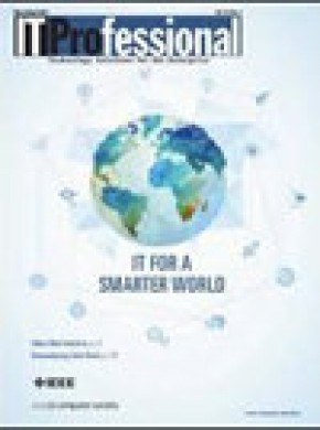 It Professional杂志