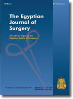 Egyptian Journal Of Surgery杂志