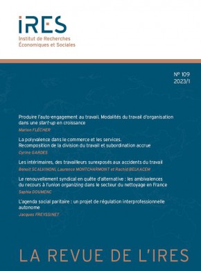 Revue De L Ires杂志